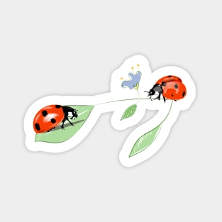 Seven-point ladybug pattern Sticker